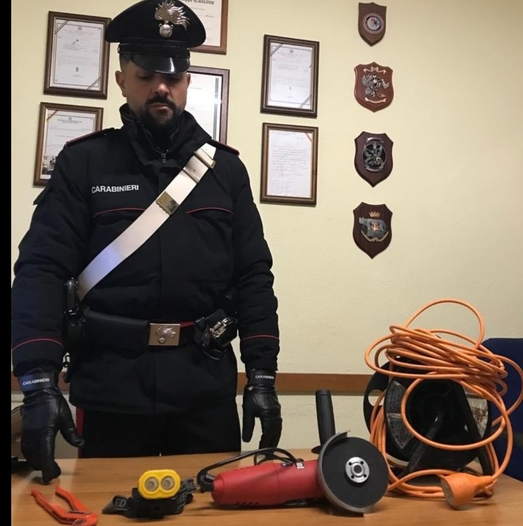 Lavinio I Carabinieri Arrestano Un Uomo Che Stava Tagliando Le