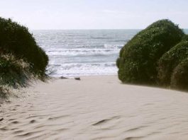 Capocotta, massaggi hard tra le dune: 3 denuncie