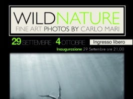 “Wild Nature Fine Art Photos” – Mostra di fotografie di Carlo Mari