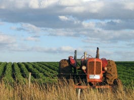 Agricoltura nel Lazio: La crisi sta impoverendo i coltivatori, Governo assente