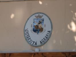 Elezioni Università Agraria di Nettuno, Rifondazione per lo scioglimento