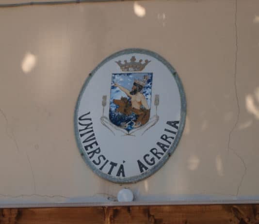 Nettuno- Università agraria, accusato di peculato l’ex segretario