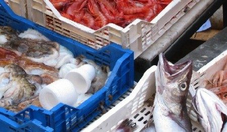 Operazione “Inverno 2013”: Controllata la filiera della pesca, 6000 euro di sanzioni