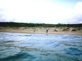 Legambiente Lazio: buone iniziative premiano i mari del Lazio. Migliorano Nettuno ed Anzio