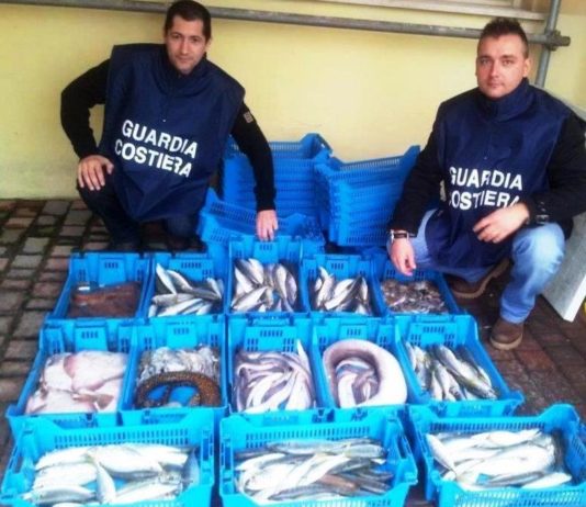 Anzio- Truffa al porto, la Guardia Costiera sequestra pesce di dubbia provenienza, il venditore fugge