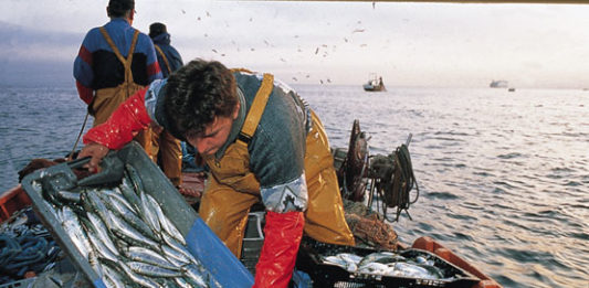 Anzio. Procede spedito il progetto del monumento al pescatore