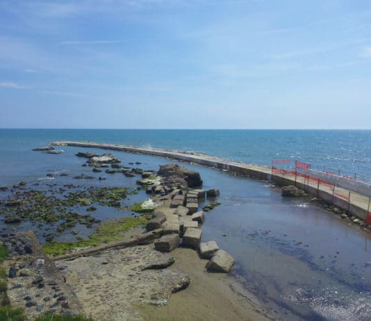 La rabbia di Sel: “Si rimuova subito il mostro di cemento”