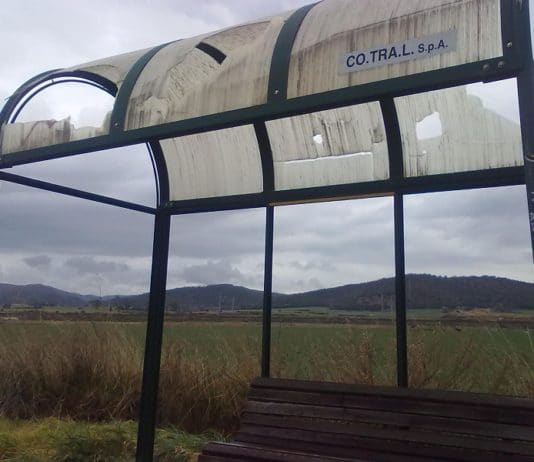 Nettunense, fermate Cotral da rimettere a nuovo. Progetto preliminare da 142.000 euro