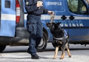 25-cane-polizia