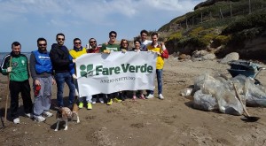 fare verde