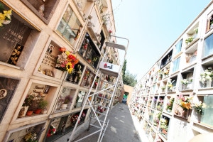 cimitero nettuno