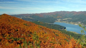 I monti della Sila in Calabria