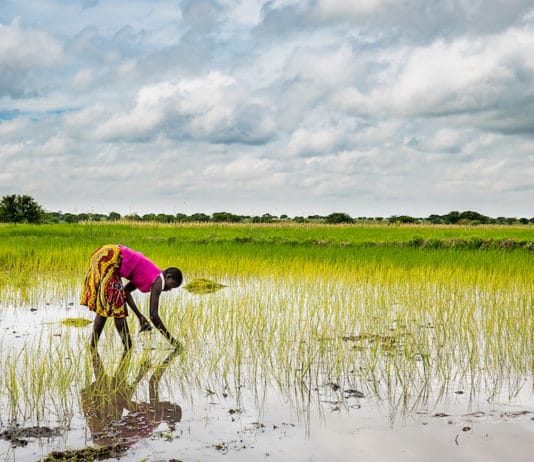 La Tanzania in mostra per beneficenza a Villa Sarsina il 14-16-17 agosto