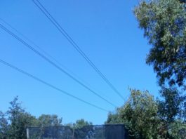 Acea-Kiklos, Comitato no Miasmi: “riprese le emissioni olfattive moleste”