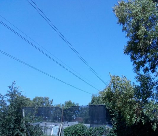 Acea-Kiklos, Comitato no Miasmi: “riprese le emissioni olfattive moleste”