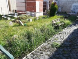 Anzio, il cimitero in stato di abbandono. La segnalazione