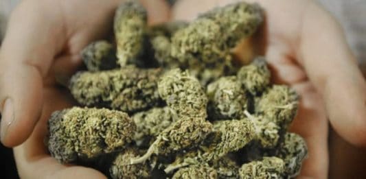 Anzio, arrestato 20enne per spaccio di stupefacenti