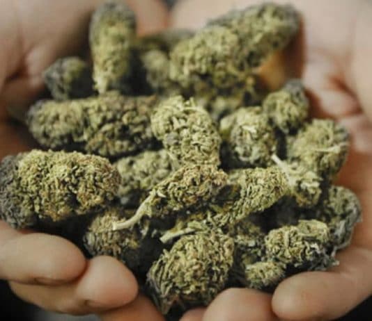 Anzio, arrestato 20enne per spaccio di stupefacenti