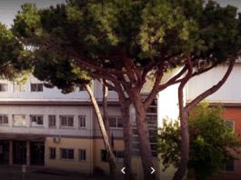 Infiltrazioni d’acqua, la scuola media Sangallo chiusa fino al 5 novembre