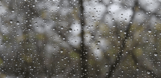 Ma che sta succedendo?