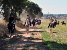 Anzio-Jenne, la via della transumanza nel progetto dei “Cammini Italiani”