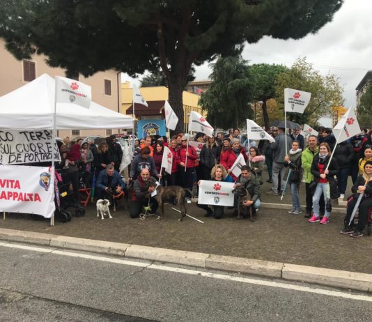 Aprilia. Gli “Amici di Birillo”: il Comune chieda fondi alla Regione per canile