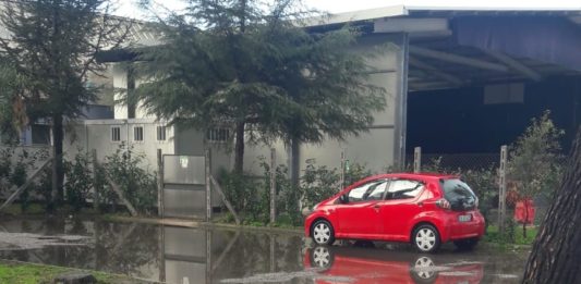 Nettuno, si allaga l’ingresso della Sacchi. Alunni zuppi a scuola