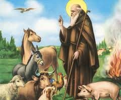 Nettuno. Sant’Antonio, il Comandante Arancio assicura: si terrà il 27 benedizione degli animali