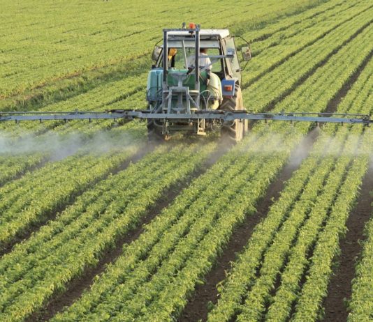 Dalla Regione 21 milioni per i giovani agricoltori. Come fare domanda