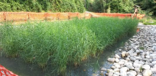 Fitodepurazione diffusa piccoli nuclei abitati: Comune Aprilia vince bando Provincia Latina