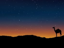 Oman: i piedi nella tradizione, la testa al futuro