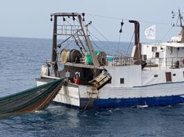 Un mare senza plastica, Anzio si unisce alla “crociata” del capitano Colantuono