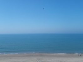 Benvenuta Primavera!