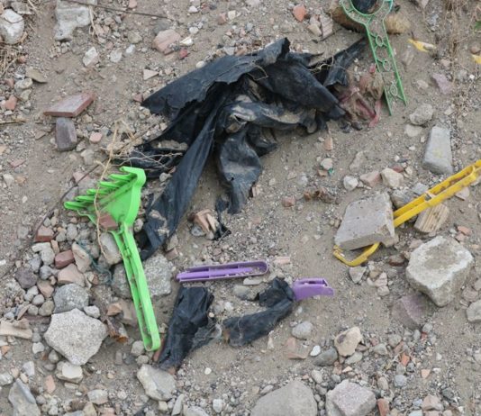 “Care the Oceans”, insieme il 14 aprile per pulire la spiaggia di Lido delle Sirene