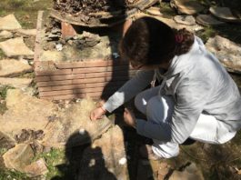 Anzio, dolium di epoca romana in frantumi. L’esperta: “Collassato per cause naturali”