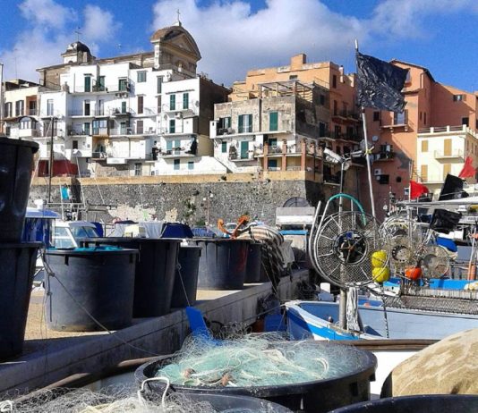 Al via domande assegnazione posti barca ai pescatori sportivi nel Marina di Nettuno