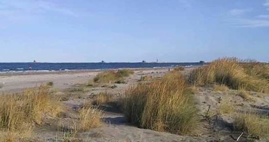 Marracino: “Anzio come Formentera. Sì alla convenzione per Lido dei Pini”