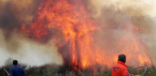 Anzio, ordinanza antincendio del sindaco De Angelis