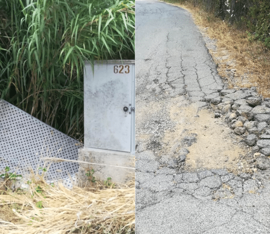 Nettuno. Le Grugnole: un quartiere dimenticato. Una residente: il Comune ci conosce?