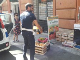 Anzio, la Polizia Locale sequestra 20 cassette di frutta