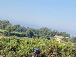 Anzio, un bagnino cade in una cunetta e nessuno lo soccorre