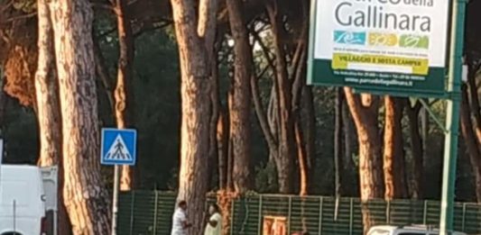 Anzio. Lido dei Pini, commercianti pagano ditta privata per rimuovere i rifiuti