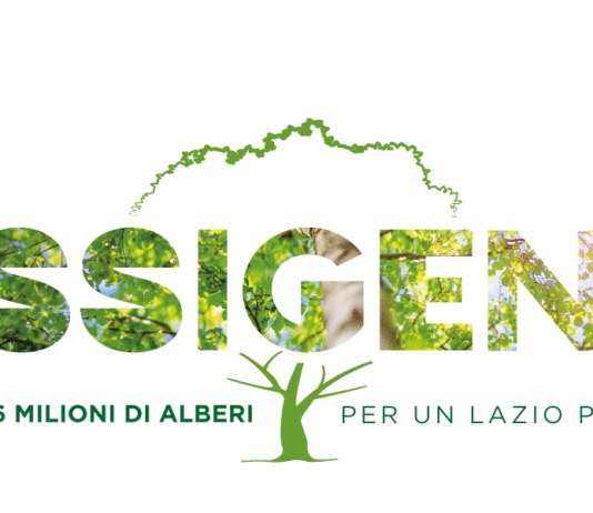 Nettuno. Caro Sindaco, sta per scadere il bando #ossigeno della Regione Lazio, non perdiamo questa occasione