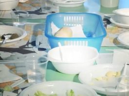 Nettuno. Organico, piatti e bicchieri di plastica della mensa buttati tutti insieme. Gli alunni della Castellani scrivono al Sindaco