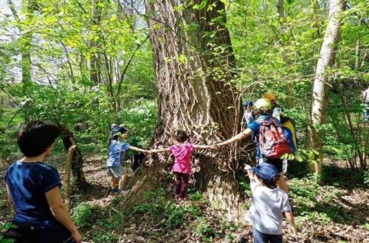 21 novembre la Tenuta Calissoni Bulgari aderisce alla giornata nazionale degli alberi