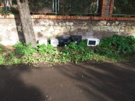 Anzio, discarica a cielo aperto in via Francesca Spigarelli