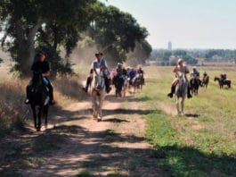 L’Unesco dichiara la transumanza patrimonio culturale dell’Umanità