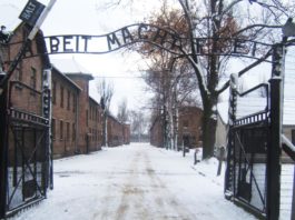 Viaggio della Memoria: partiti i 38 ragazzi apriliani per la visita ad Auschwitz