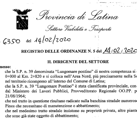 22 e 23 febbraio chiusa per abbattimento pini la strada per Latina “Borgo Piave Acciarella”