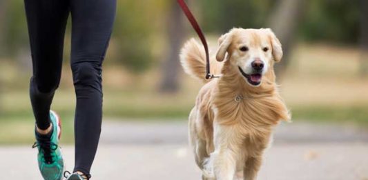 Coronavirus, sconsigliate (ma non vietate) passeggiate e sport all’aperto. Purché a 1 metro